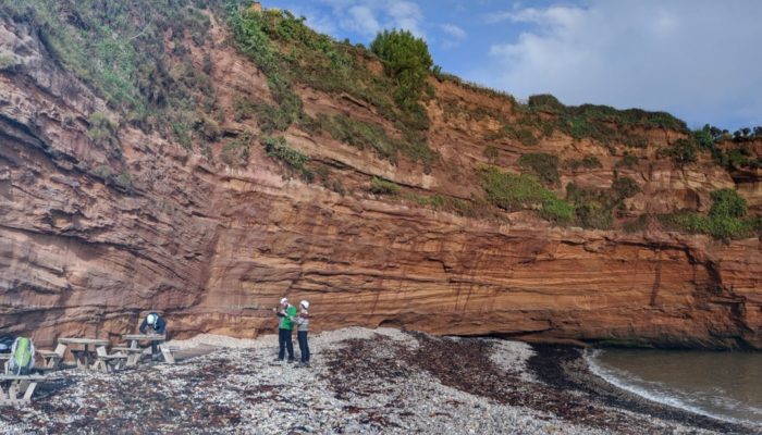 Who needs stratigraphers, sedimentologists and palaeontologists? Evolving roles through the energy transition.