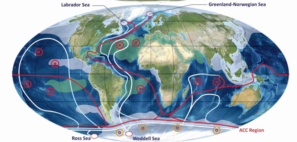 Sediment in the deep ocean. Part 2: thermohaline currents that shape the seafloor