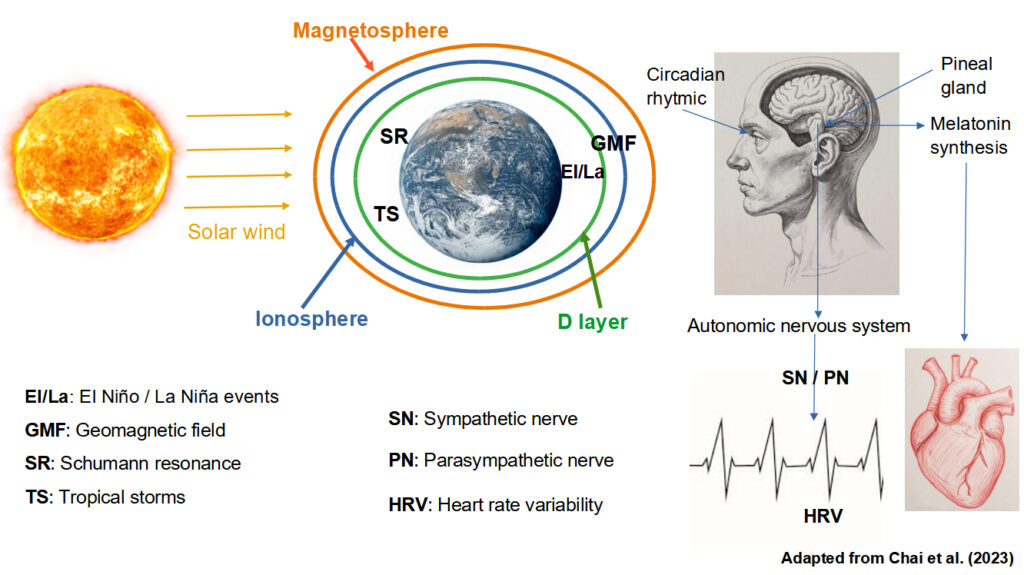 On the correlation and interactions of space weather with biological indicators