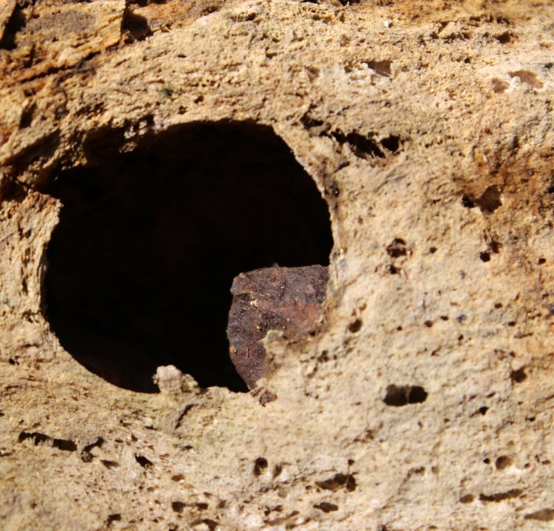 Frozen droplet of basalt, on the edge of a large gas bubble, trapped within a larger block of rhyolite pumice. Did the arrival of some hot basalt into the rhyolite magma chamber cause the eruption?
