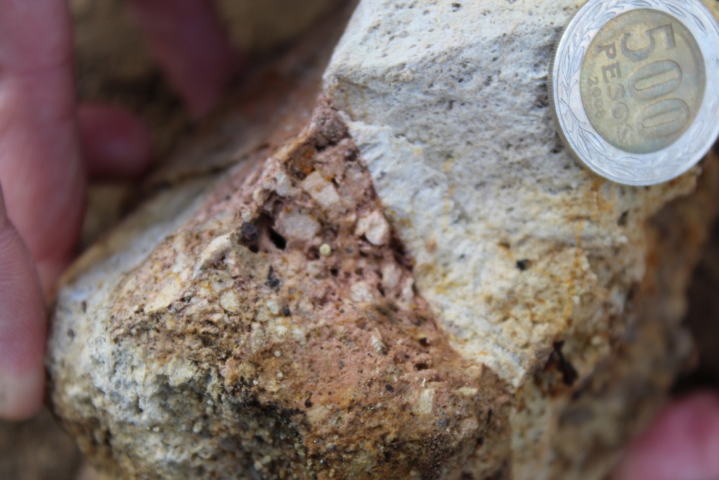 A block of pumice. This pumice sample had a chequered history even before it was erupted: it was broken apart while rising up through the plumbing system, and shortly afterwards healed up again, leaving the broken pieces of a pinkish pumice welded to the main white pumice.