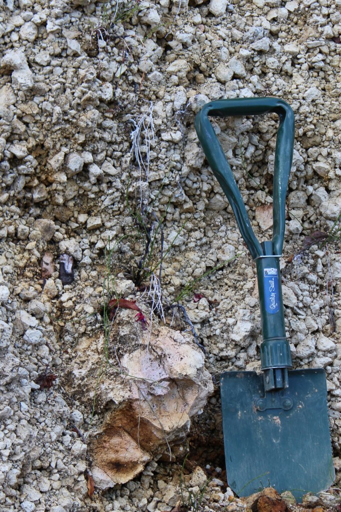 Photo of pumice deposit