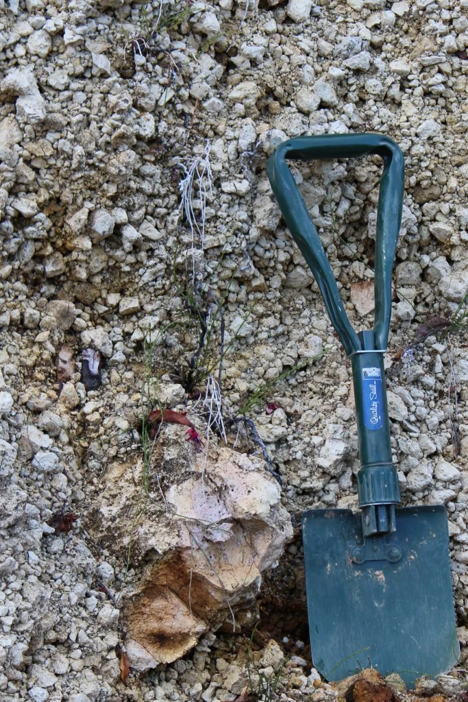 Photo of pumice deposit