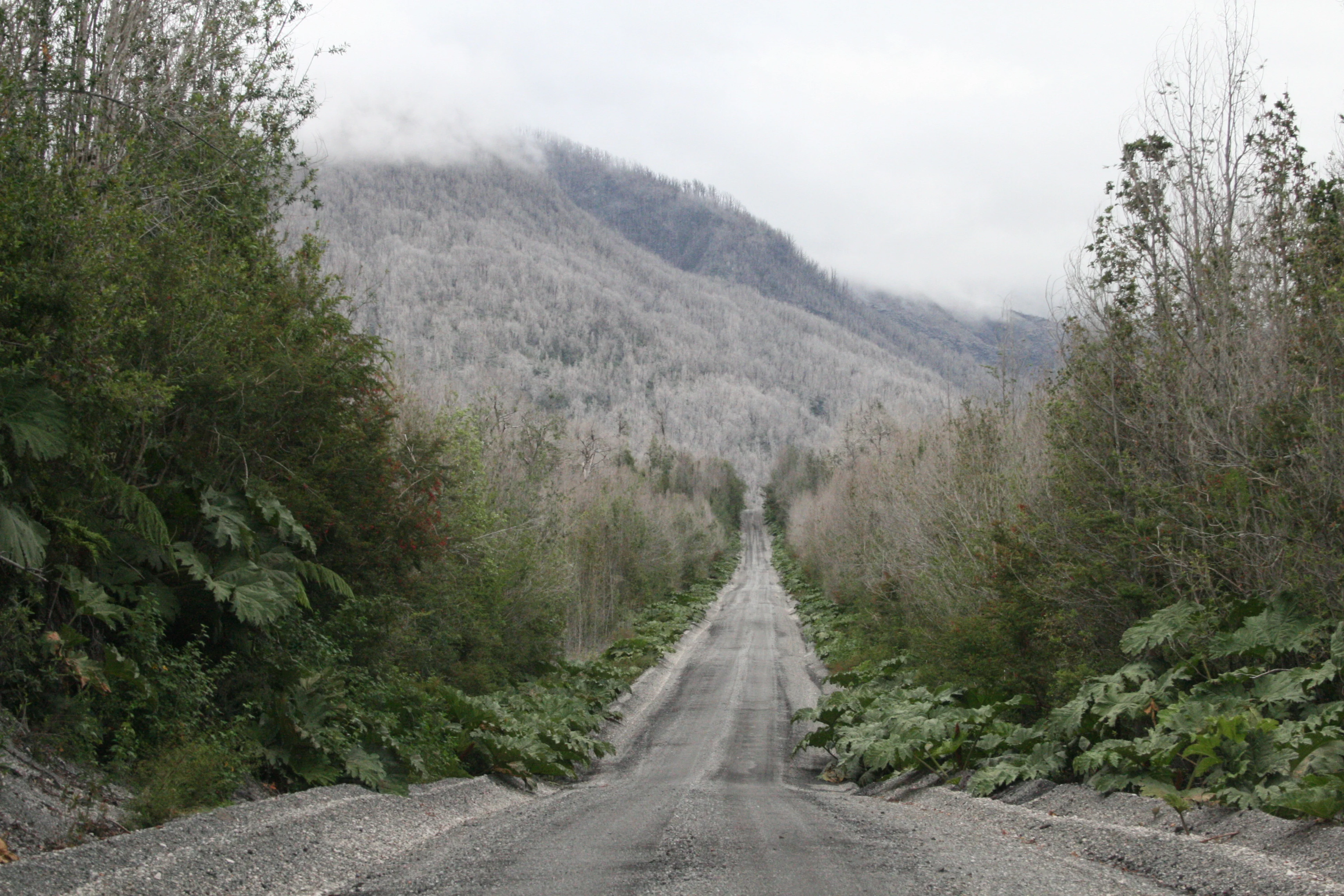 Approaching Chaiten