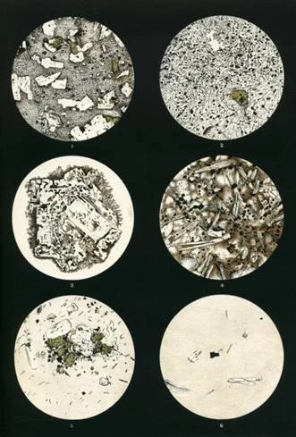  Drawings of views of Krakatoa rock samples in thin section, under a microscope.  This set of images are of lavas from Krakatoa. These are quite rich in crystals (white feldspar; green pyroxene), set in a fine matrix of glass (colourless to brown).  Images on the left: about 1 cm across; on the right – about 1 mm across. 