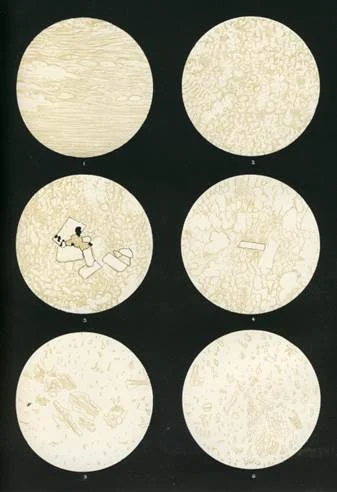  Drawings of views of 1883 Krakatoa pumice and ash samples in thin section, under a microscope.  The pumice samples are mainly made of glass (very pale colour) with gas bubbles.  The top 4 images are each about 1 cm across, and show the texture of lumps of pumice.  The bottom two images are each about 1 mm across, and show the ‘ash’ that fell over a thousand miles away from Krakatoa, onto the ship Arabella (left), and the ‘ash’ formed by grinding up a sample of pumice. 