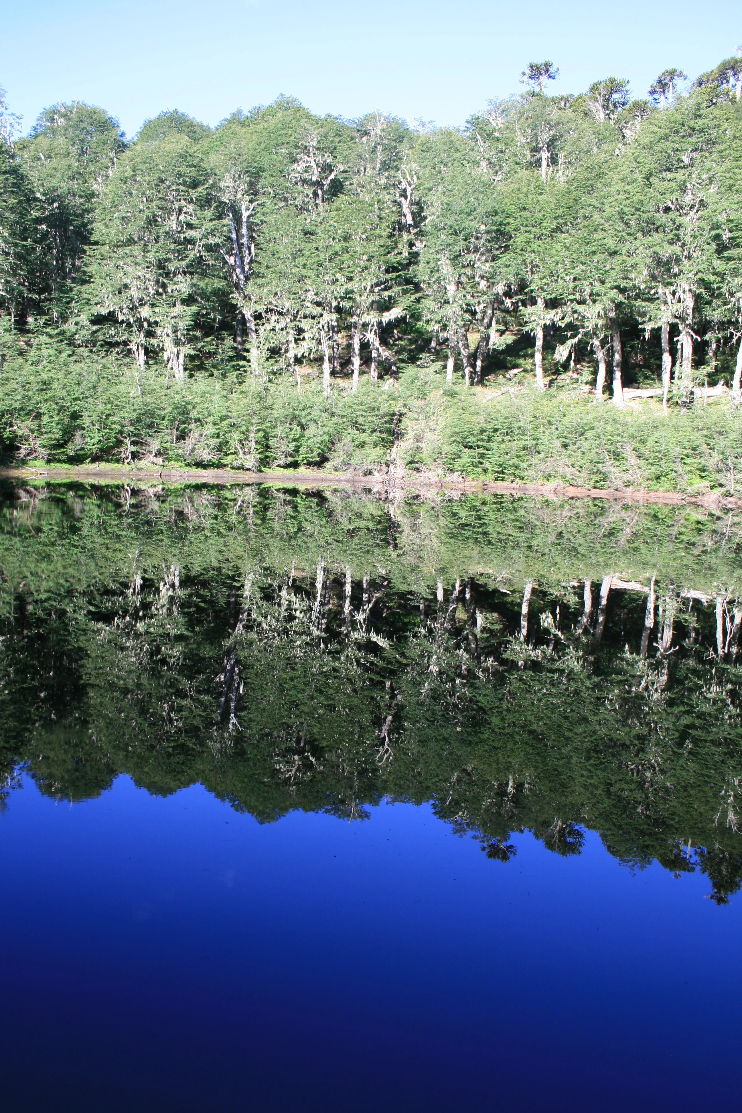Friday Field Photo - Volcanic Crater Lake, near Sollipulli, Chile
