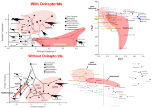 Morphospace of some theropod skulls, marking out variation on feeding style between species (source)