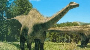 The infamous Diplodocous, from the Late Jurassic of North America (source)