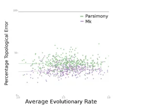Source: Wright and Hillis (2014) - click for larger