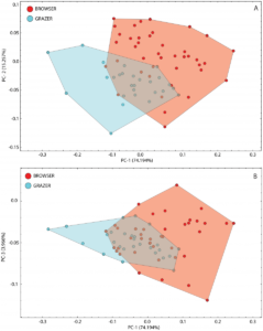 Principal component plots for snout shapes, with ruminants classed according to their feeding ecology. Tennant and MacLeod (2014)