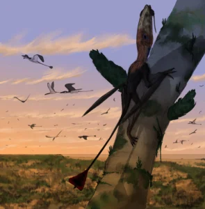 Were pterosaurs duking it out against birds for millions of years? (source)