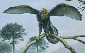 One of the earliest known birds, Archaeopteryx, from the infamous Solnhofen beds of Bavaria, Germany. (source)