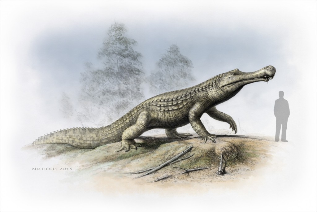 Crocodiles feeling the heat of extinction