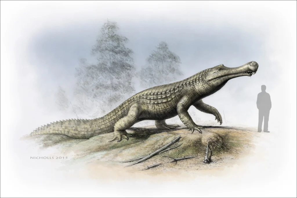 Crocodiles feeling the heat of extinction