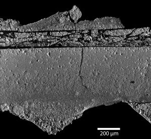 sem_image