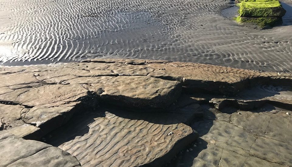 Features from the field: Ripple Marks