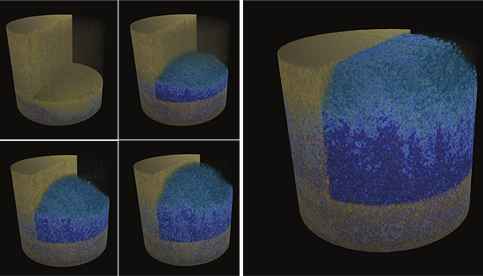 Neutrons and X-rays: 3D and 4D imaging in geoscience