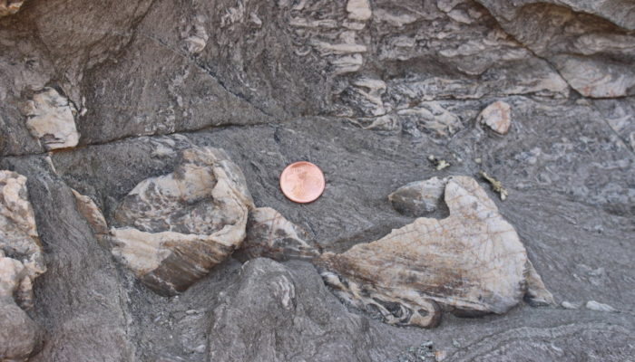 Features from the Field: Sheath Folds