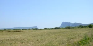 Pic Saint-Loup and Hortus