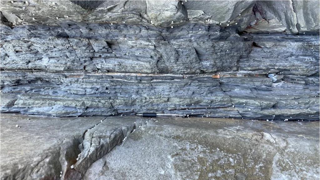 Pathways of force within granular layers