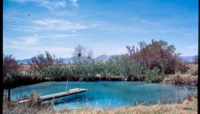 The Groundwater Wetlands and Bogs Study Group