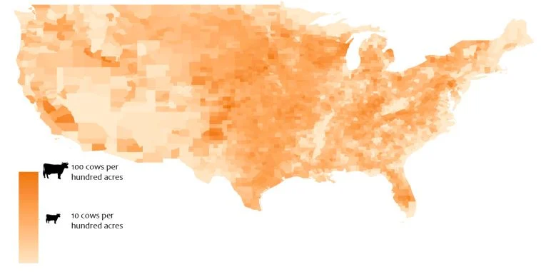 Where’s the beef? Or should I say where’s the groundwater?