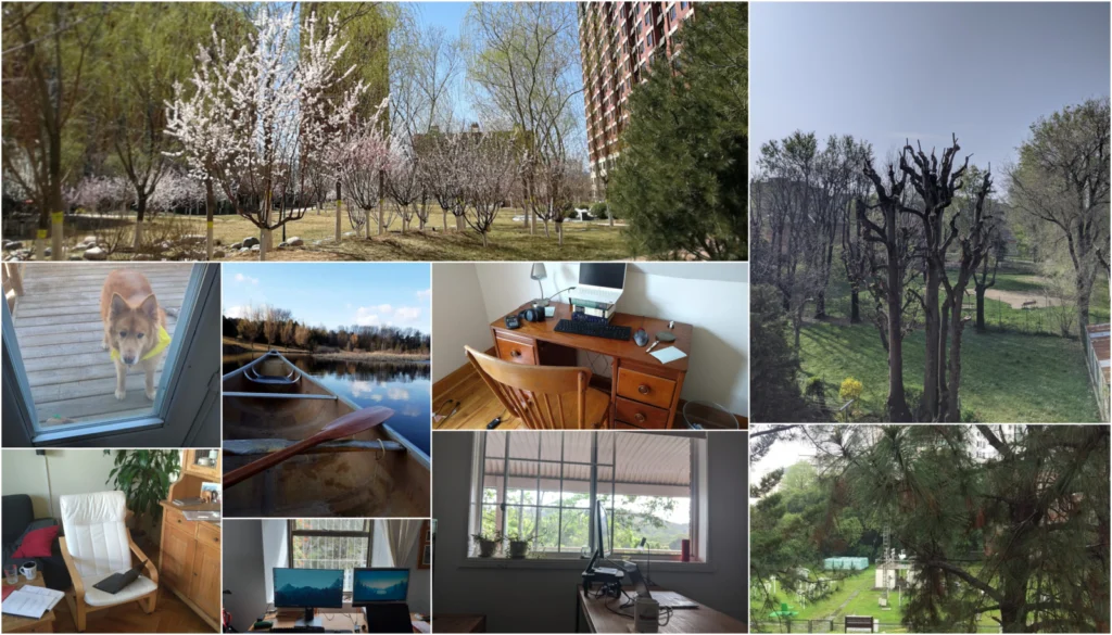 underground social solidarity: rose, thorns and buds in the COVID-19 pandemic