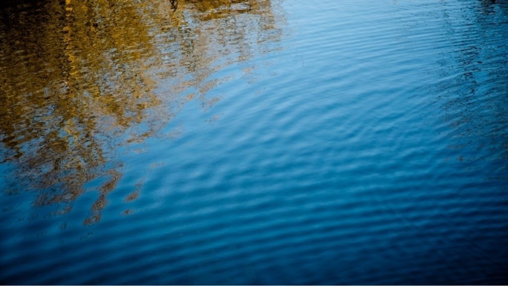 Should the pandemic change what we ‘do’ as sustainability scientists?