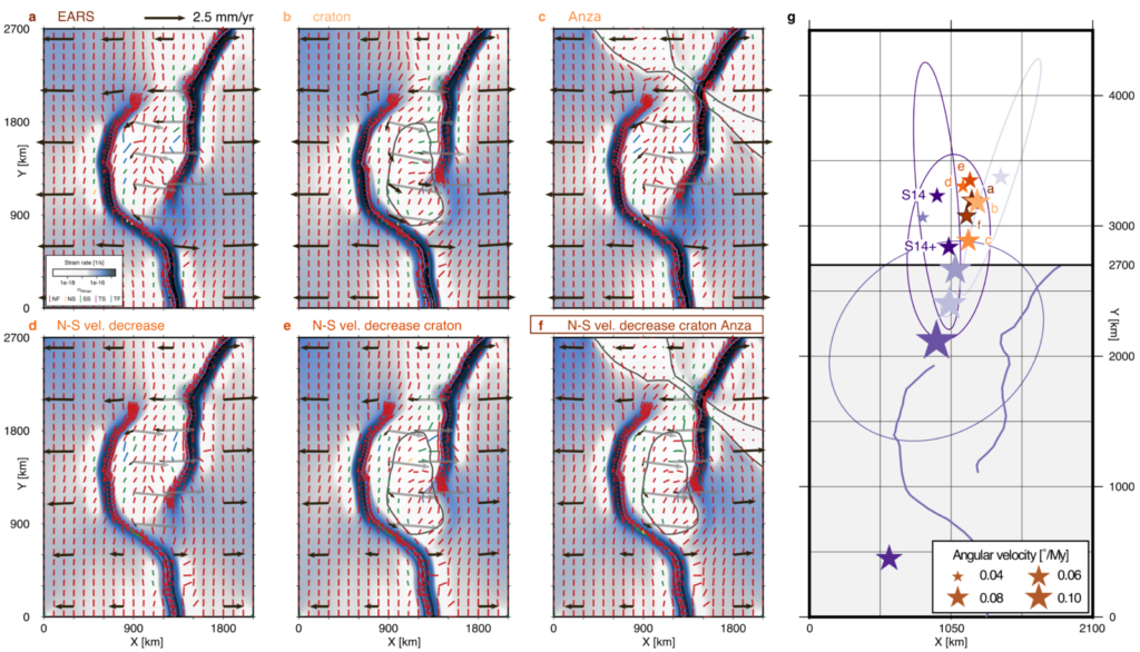 Numerical model predictions.