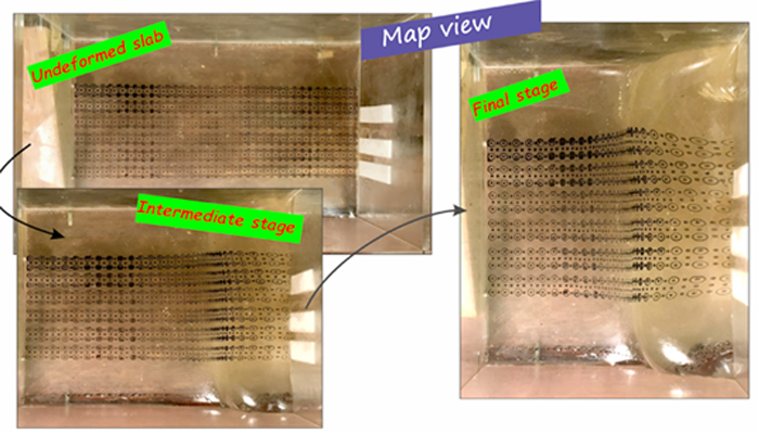 Curious case of convex upwards topography in accretionary wedges