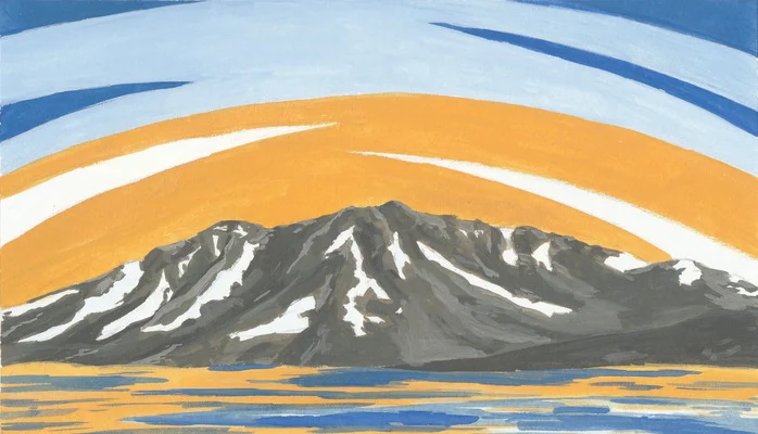 Unravelling the geological past of the Sierra del Nevado, in South Andes, Argentina