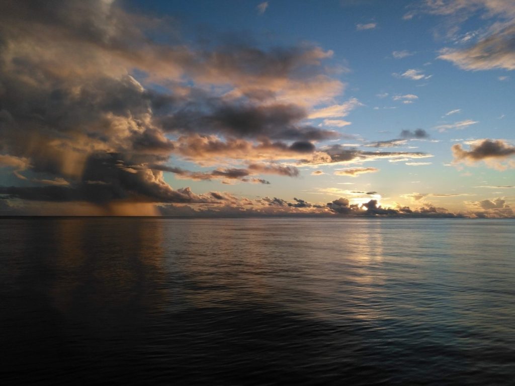 Back-arc systems: arguably the most influential tectonic feature in the oceanic domain