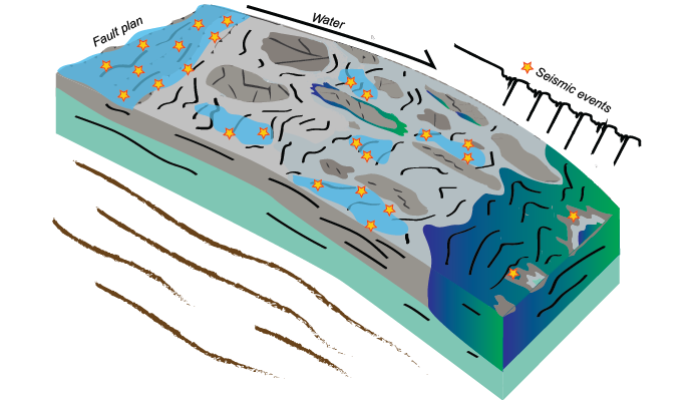 What is the role of fluids in seismic cycles