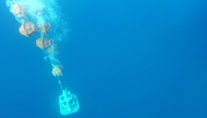 Exploring Kolumbo: Unveiling the Secrets of a Submarine Volcano