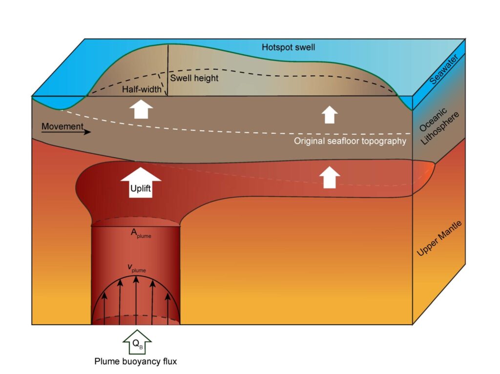 New Insights into Plume Buoyancy Fluxes and Dynamic Topography from Numerical Modelling