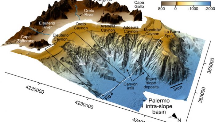 “Twenty or more Leagues Under the Sea”: A journey to understand submarine canyons