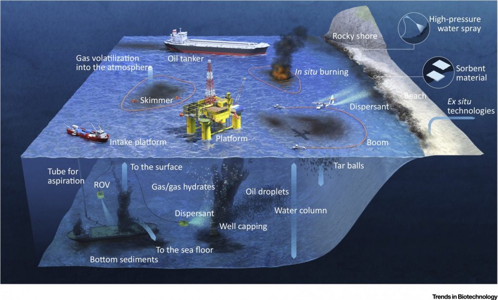 Hazard chains: from anthropic oil spills to ecosystem pollution. Can tiny organisms be the solution?