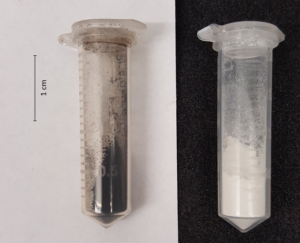Figure 2 Two examples of precipitation products recovered with the SPOP process. The black powder on the left is composed mainly of Jacobsite and it is recovered from a manganese and iron-rich solution. The white powder on the right is composed mainly Gordaite and it is recovered from a lead and zinc-rich solution.