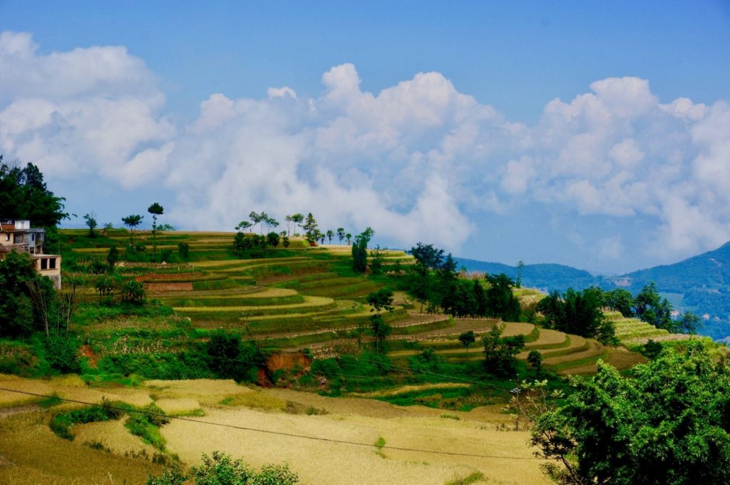 Anthropogenic changes of the landscape and natural hazards