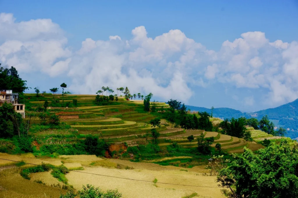 Anthropogenic changes of the landscape and natural hazards