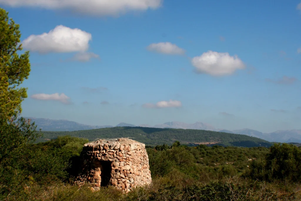 In between Natural Hazards and Heritage, interview to Maria Bostenaru
