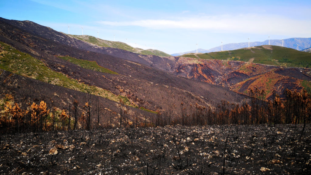 Mitigating Soil Erosion After Wildfires