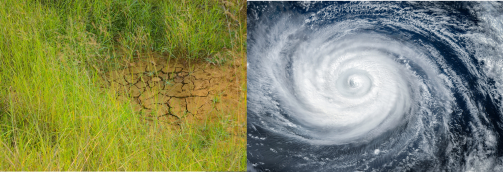 Repression Without Resistance: Answering Natural Hazards Related Disasters