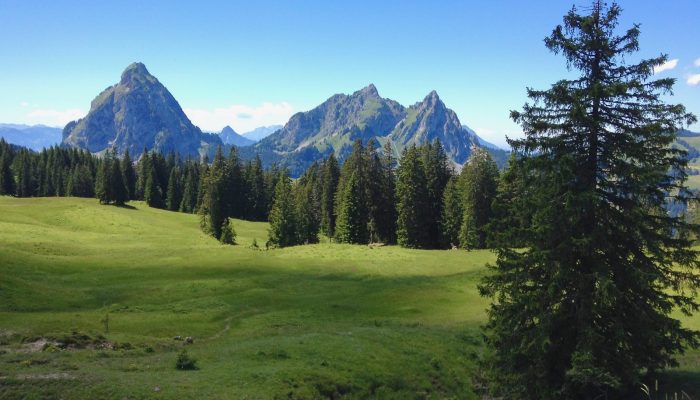 Talking hydrology: an interview with Jana von Freyberg on her work in the Rietholzbach catchment