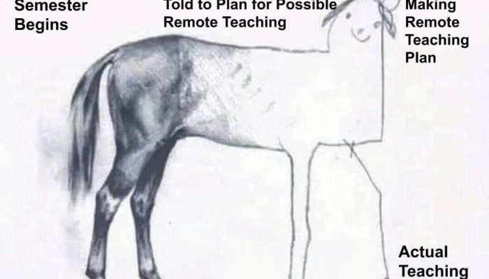 When the students are gone: Transition to online teaching