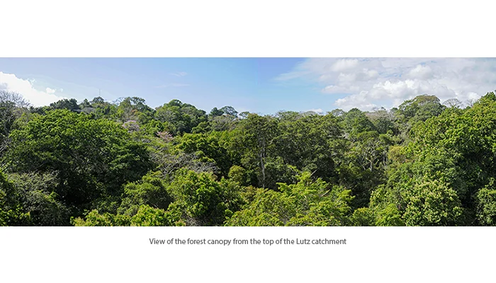 The Lutz Creek watershed of Barro Colorado Island, Panama