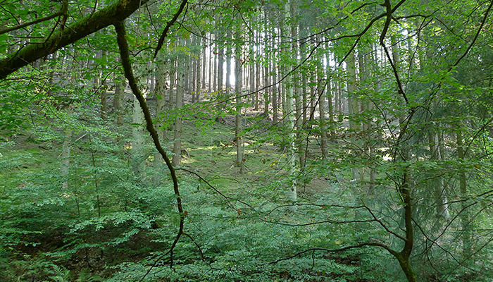 Behind every robust result is a robust method: Perspectives from a hydrological case study