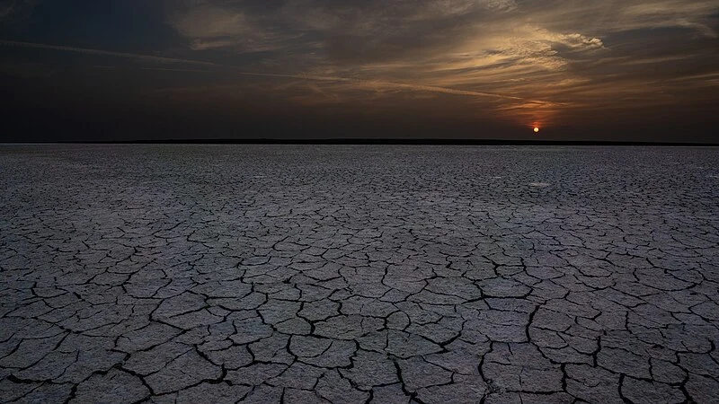 Thirsty Earth: a multiplayer online game for water resources education and research