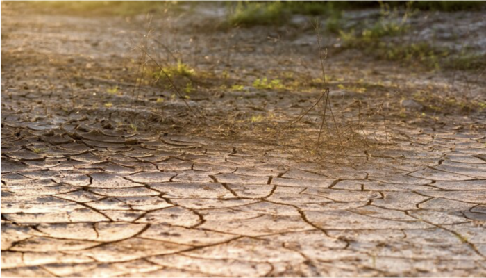 The water crisis in Bengaluru, India, and its direct link to the degradation of the city’s lake system